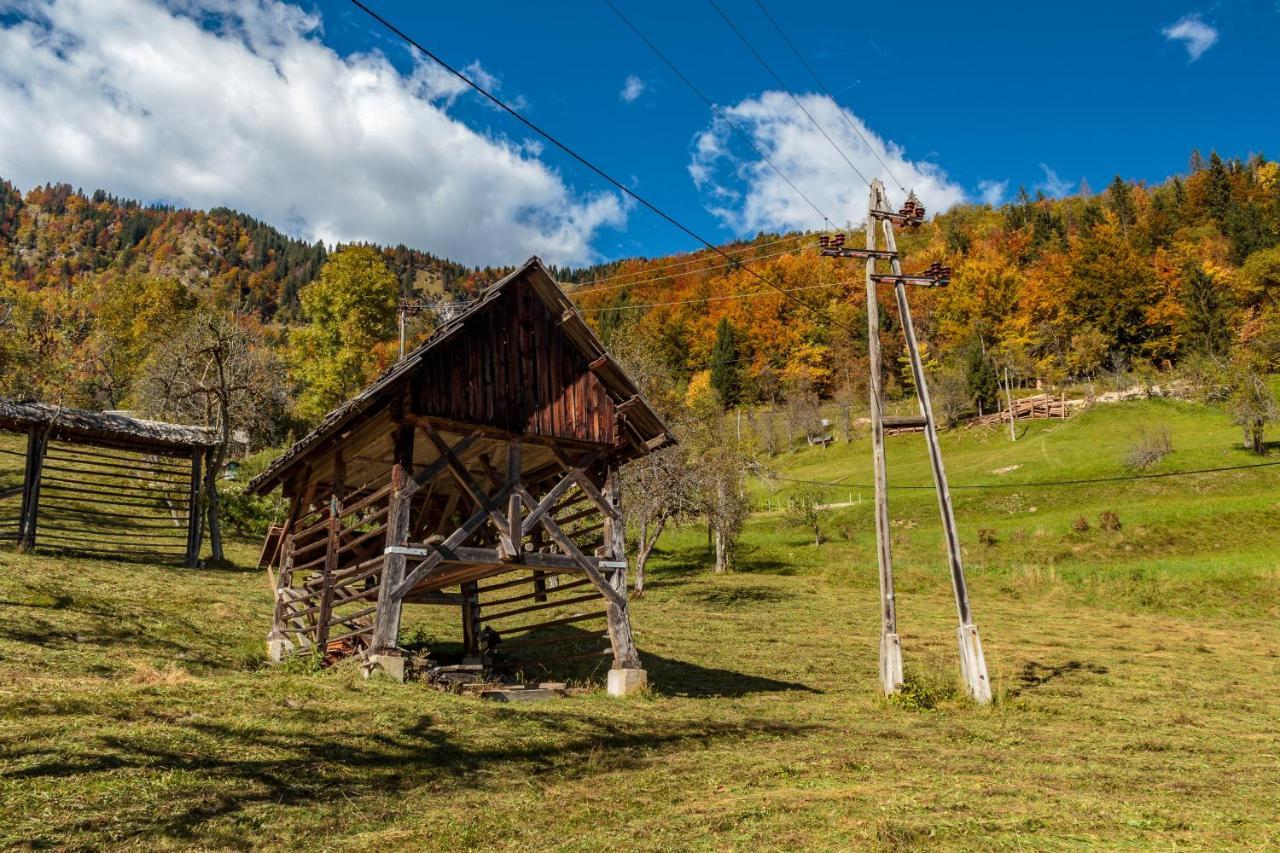 Holiday House Jereka -Bohinj Buitenkant foto